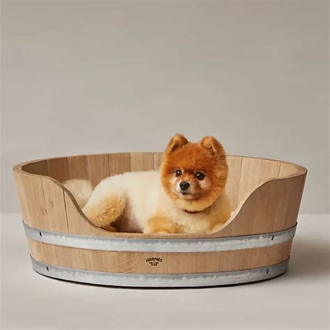 hermes dog bed price